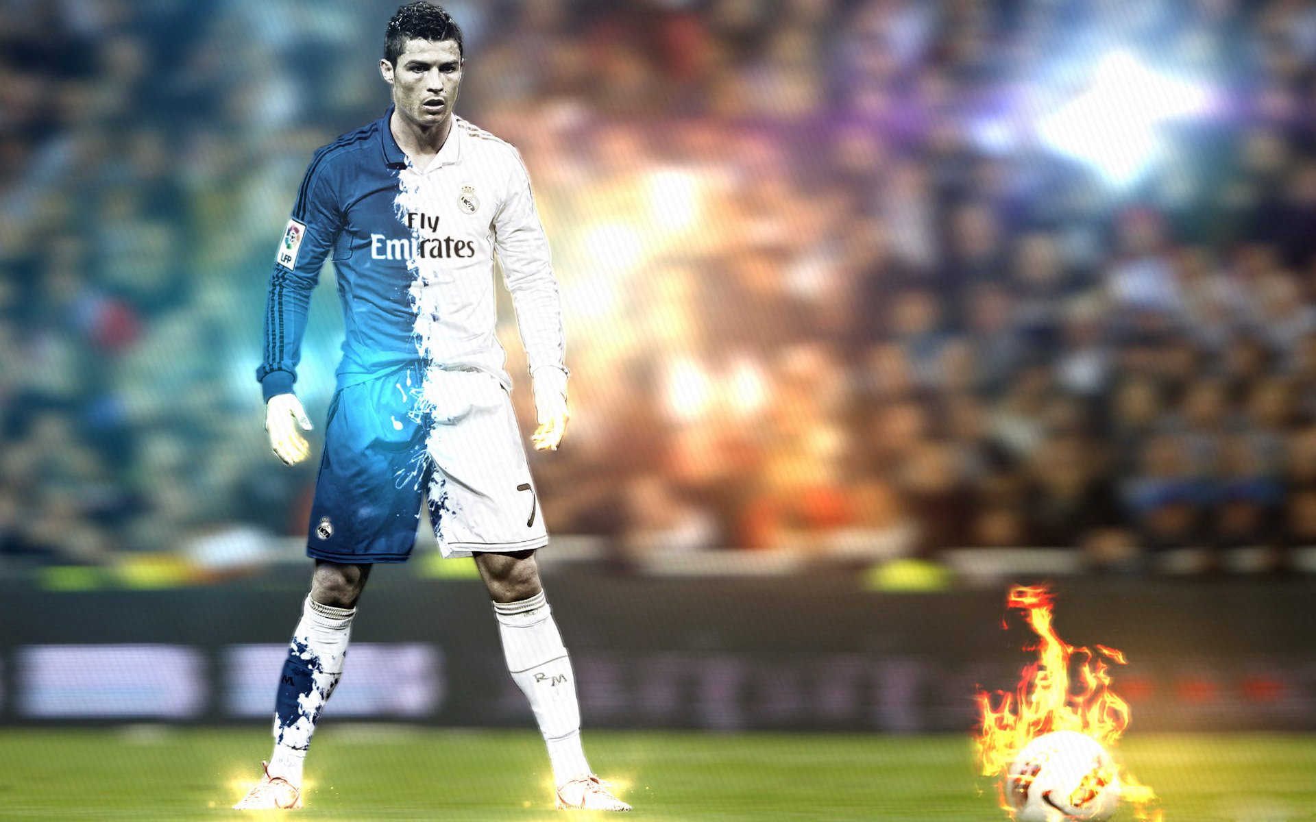 荷兰自由泳新秀勇闯总决赛,荷兰自由泳名将